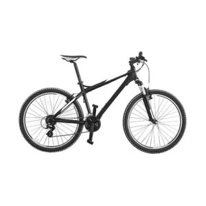 Yard Bicycle - Imagen 1